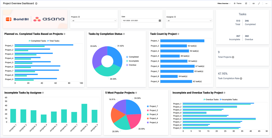 Project Overview Dashboard